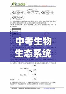 中考生物生態(tài)系統(tǒng)深度解析，專題解讀與知識要點(diǎn)梳理