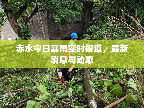 赤水今日暴雨實時報道，最新消息與動態(tài)