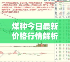 煤種今日最新價格行情解析