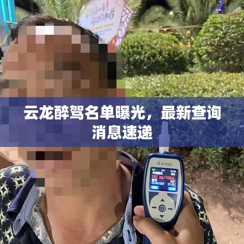 云龍醉駕名單曝光，最新查詢消息速遞