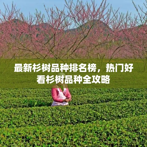 畫地為牢 第2頁