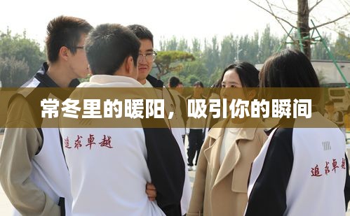 常冬里的暖陽，吸引你的瞬間