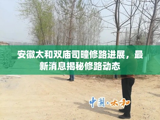 安徽太和雙廟司疃修路進展，最新消息揭秘修路動態(tài)