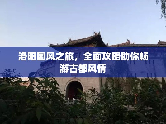 洛陽國風之旅，全面攻略助你暢游古都風情