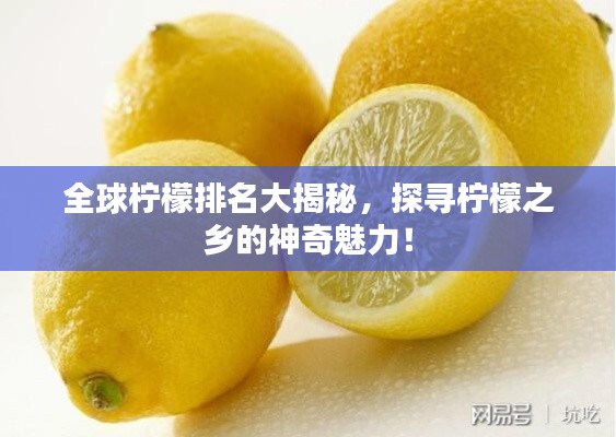 全球檸檬排名大揭秘，探尋檸檬之鄉(xiāng)的神奇魅力！