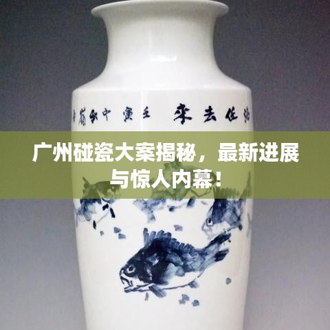 廣州碰瓷大案揭秘，最新進展與驚人內(nèi)幕！