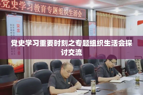 黨史學(xué)習(xí)重要時(shí)刻之專題組織生活會探討交流