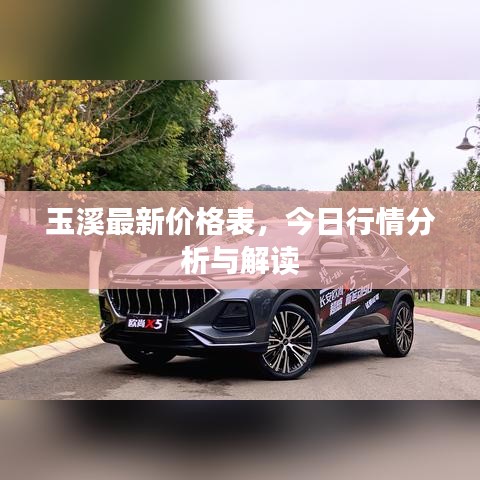 玉溪最新價(jià)格表，今日行情分析與解讀