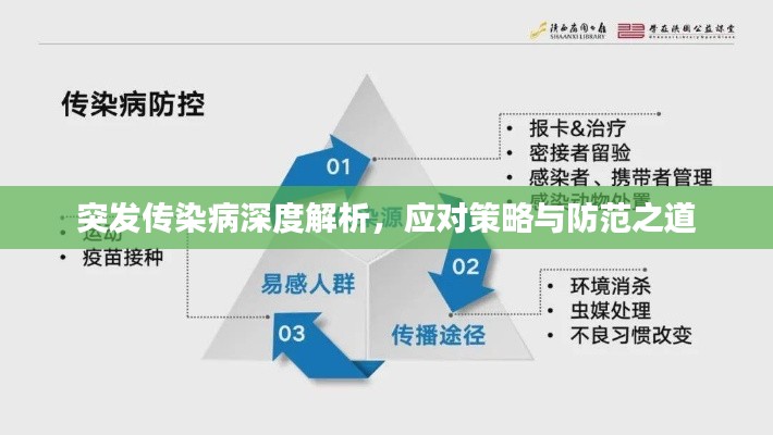 突發(fā)傳染病深度解析，應對策略與防范之道