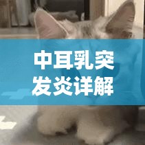 中耳乳突發(fā)炎詳解，定義、誘因、癥狀與治療方案
