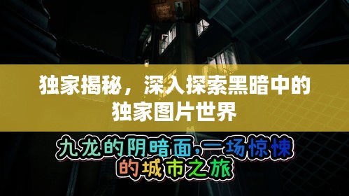 獨(dú)家揭秘，深入探索黑暗中的獨(dú)家圖片世界
