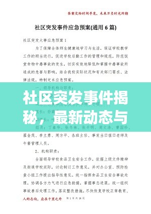 社區(qū)突發(fā)事件揭秘，最新動(dòng)態(tài)與應(yīng)對(duì)舉措一網(wǎng)打盡！