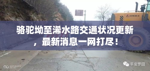 駱駝坳至浠水路交通狀況更新，最新消息一網(wǎng)打盡！