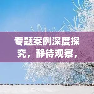 專題案例深度探究，靜待觀察，揭秘未知