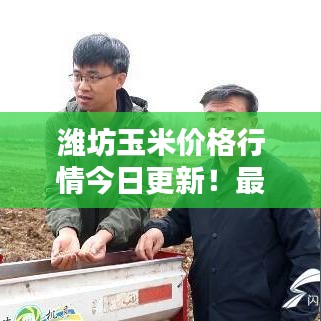 濰坊玉米價(jià)格行情今日更新！最新報(bào)價(jià)一網(wǎng)打盡