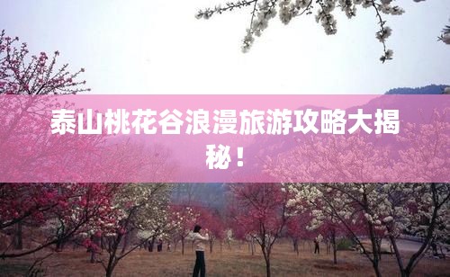 泰山桃花谷浪漫旅游攻略大揭秘！