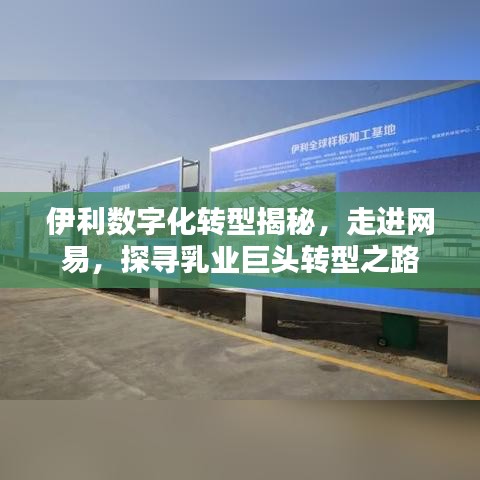 伊利數(shù)字化轉(zhuǎn)型揭秘，走進(jìn)網(wǎng)易，探尋乳業(yè)巨頭轉(zhuǎn)型之路