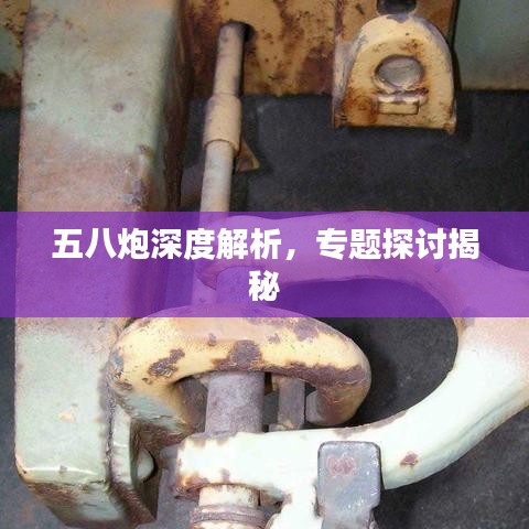 五八炮深度解析，專題探討揭秘
