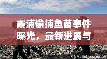 霞浦偷捕魚(yú)苗事件曝光，最新進(jìn)展與細(xì)節(jié)揭秘
