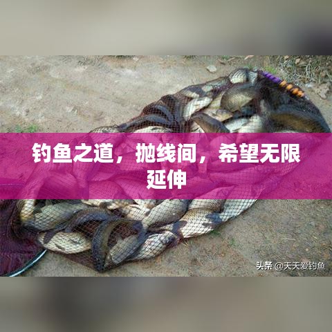 指手畫腳 第2頁