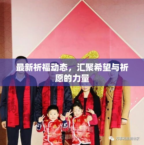 最新祈福動態(tài)，匯聚希望與祈愿的力量