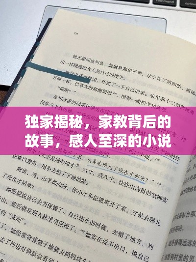 獨(dú)家揭秘，家教背后的故事，感人至深的小說閱讀