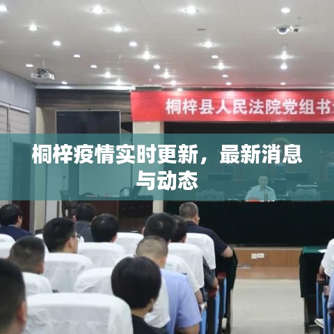桐梓疫情實時更新，最新消息與動態(tài)