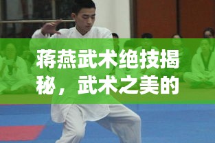 蔣燕武術絕技揭秘，武術之美的獨特魅力視頻欣賞
