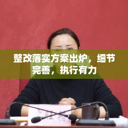 整改落實方案出爐，細(xì)節(jié)完善，執(zhí)行有力