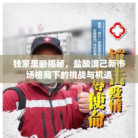 獨(dú)家壟斷揭秘，鹽酸溴己新市場(chǎng)格局下的挑戰(zhàn)與機(jī)遇