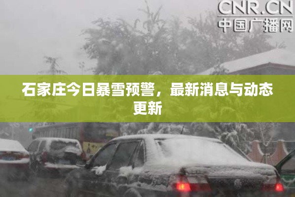 石家莊今日暴雪預(yù)警，最新消息與動態(tài)更新