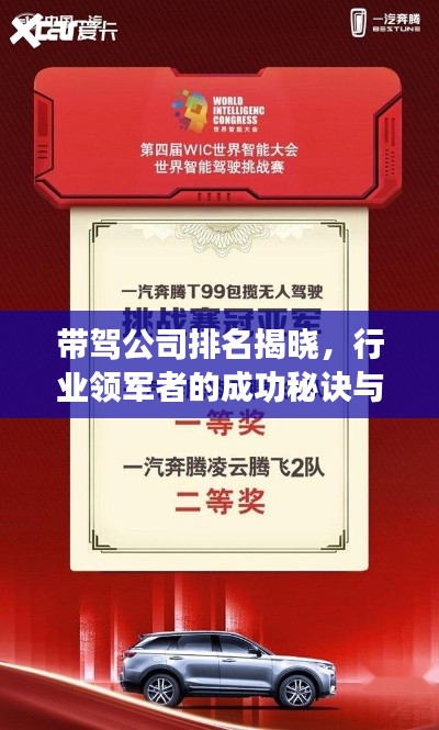 帶駕公司排名揭曉，行業(yè)領(lǐng)軍者的成功秘訣與秘密武器