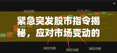 緊急突發(fā)股市指令揭秘，應(yīng)對(duì)市場(chǎng)變動(dòng)的關(guān)鍵策略指南