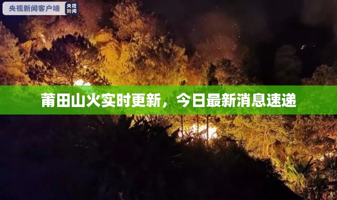 莆田山火實時更新，今日最新消息速遞
