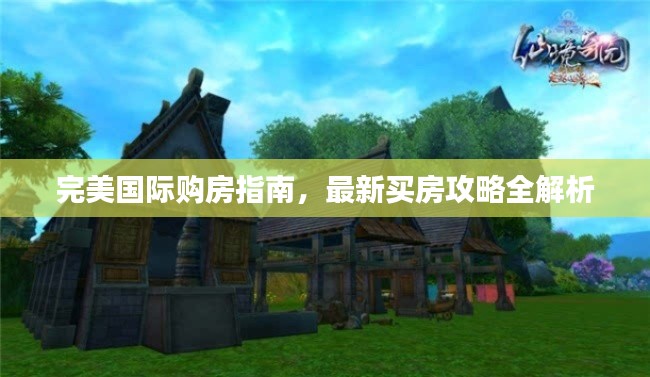 完美國際購房指南，最新買房攻略全解析