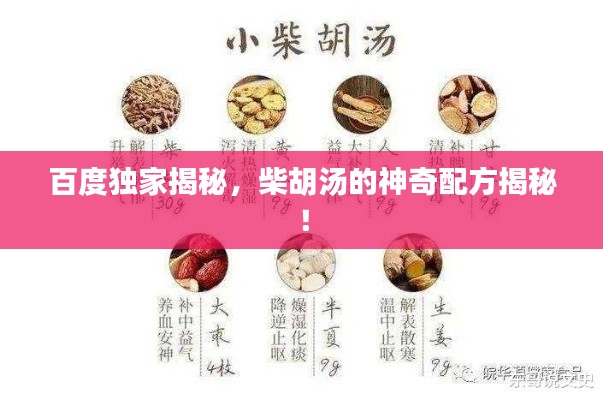 百度獨(dú)家揭秘，柴胡湯的神奇配方揭秘！