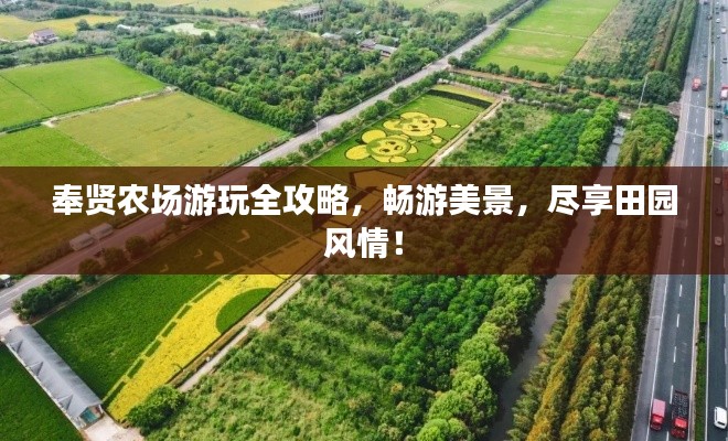 奉賢農(nóng)場(chǎng)游玩全攻略，暢游美景，盡享田園風(fēng)情！