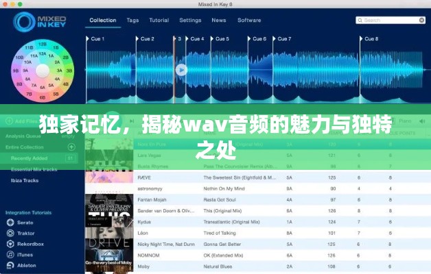獨(dú)家記憶，揭秘wav音頻的魅力與獨(dú)特之處