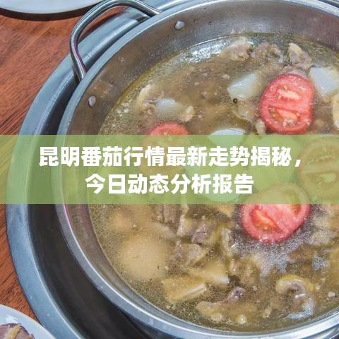 昆明番茄行情最新走勢揭秘，今日動態(tài)分析報告