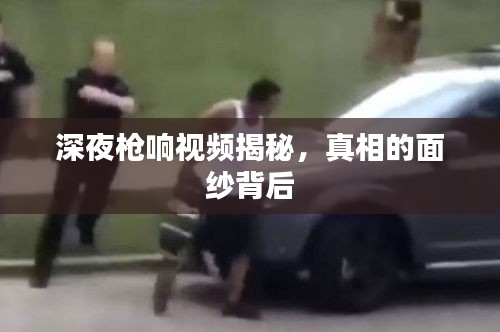 深夜槍響視頻揭秘，真相的面紗背后