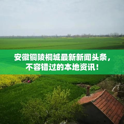 安徽銅陵桐城最新新聞頭條，不容錯過的本地資訊！