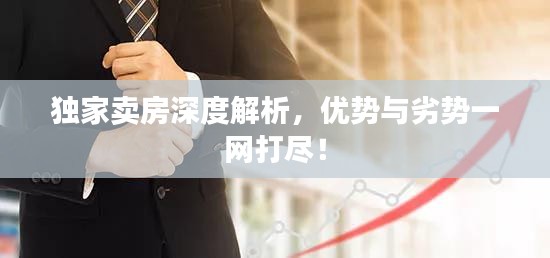 獨(dú)家賣房深度解析，優(yōu)勢與劣勢一網(wǎng)打盡！