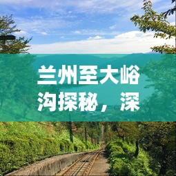 蘭州至大峪溝探秘，深度旅游攻略，暢游自然美景！