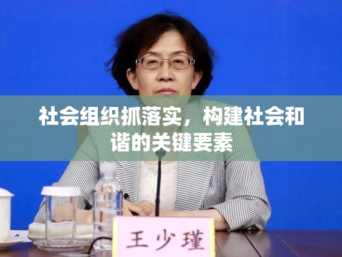 社會(huì)組織抓落實(shí)，構(gòu)建社會(huì)和諧的關(guān)鍵要素