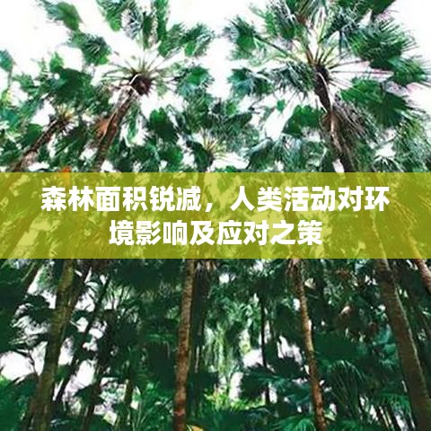 森林面積銳減，人類活動對環(huán)境影響及應(yīng)對之策