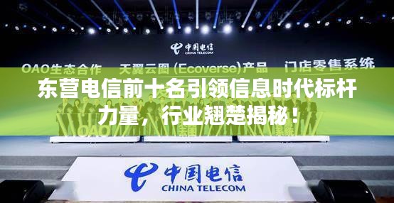 東營(yíng)電信前十名引領(lǐng)信息時(shí)代標(biāo)桿力量，行業(yè)翹楚揭秘！
