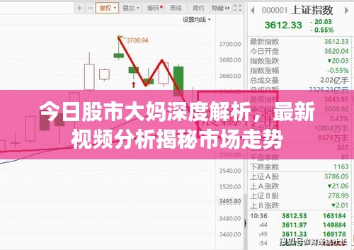今日股市大媽深度解析，最新視頻分析揭秘市場走勢