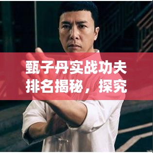甄子丹實(shí)戰(zhàn)功夫排名揭秘，探究武術(shù)巨星的超凡實(shí)力