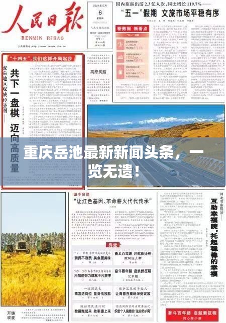 重慶岳池最新新聞頭條，一覽無遺！