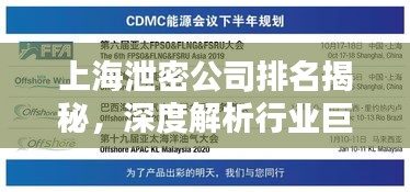 上海泄密公司排名揭秘，深度解析行業(yè)巨頭